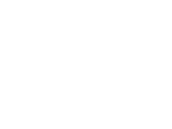 Remax Lion